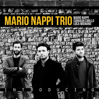 Introducing by Mario Nappi Trio