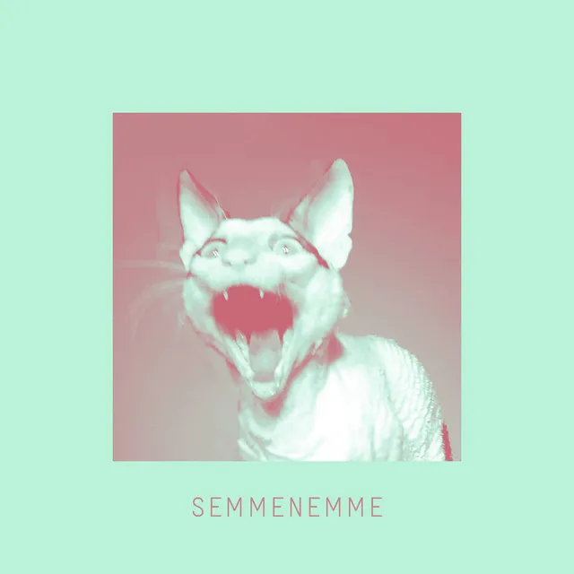 Semmenemme - Radio Edit