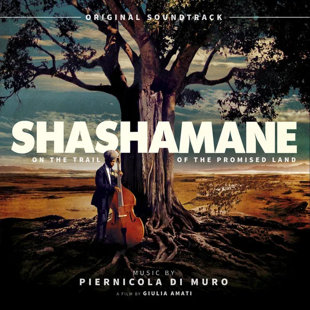 Shashamane