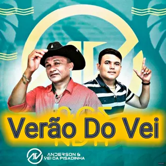 Verão do Vei (Ao Vivo) by Anderson & Vei da Pisadinha