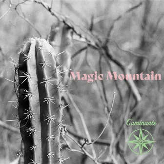 Magic Mountain by Caminante