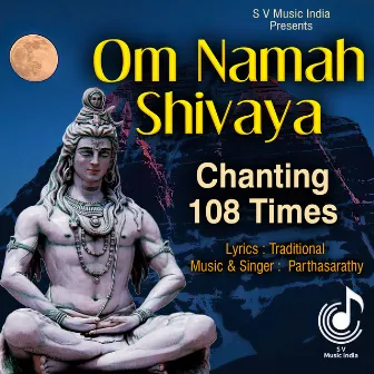 Om Namah Shivaya by Partha Sarathy