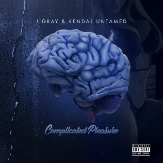 Complicated Pleasure by J. Gray