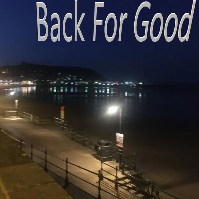 Back for Good - Instrumental Version