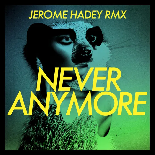 Never Anymore - Jerome Hadey Remix