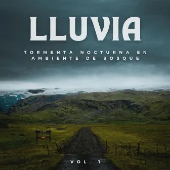 Lluvia: Tormenta Nocturna En Ambiente De Bosque Vol. 1 by Ruido de Sueño