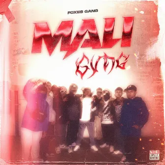 MALI GVNG by Foxes Gang