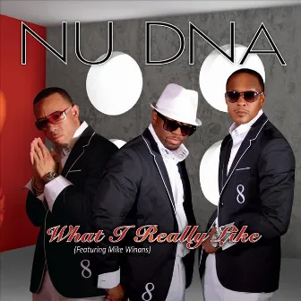 What I Really Like (feat. Mike Winans) by Nu DNA