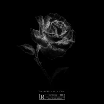 Une rose dans la main by E$B