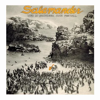 Live at Northsea Jazz Festival by Salamander