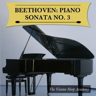 Beethoven: Piano Sonata No. 3 by The Vienna Sleep Academy