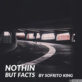 Nothin' but Facts by Sofrito King