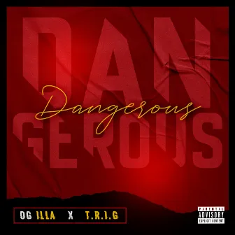 Dangerous by T.R.I.G