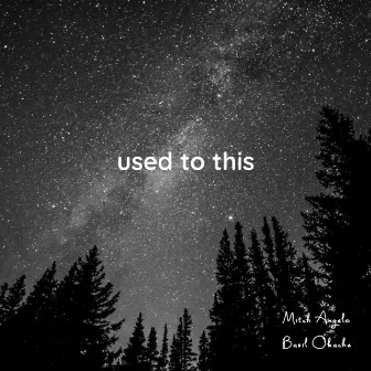 Used to This by Mitch Angelo