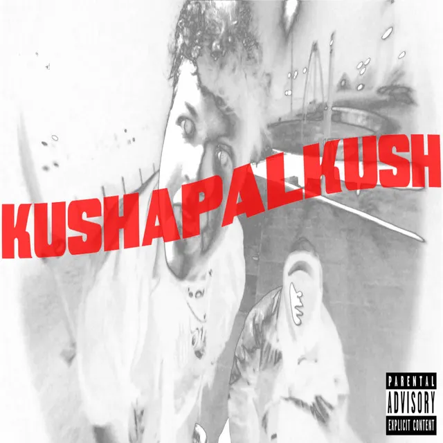 Kushapalku$h