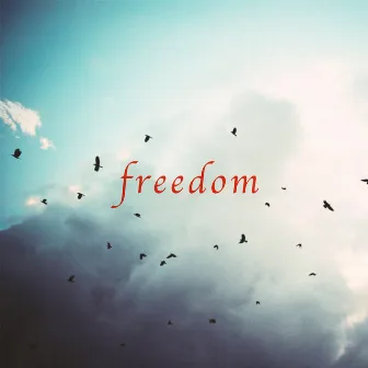 Freedom by Larry