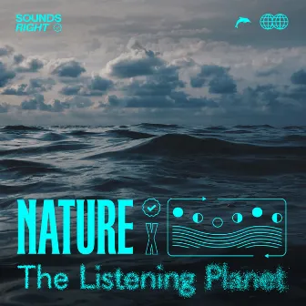 Oceanic Lullabies by The Listening Planet