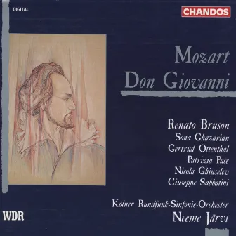 Mozart: Don Giovanni, K. 527 by Unknown Artist