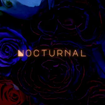 Nocturnal by J3ff