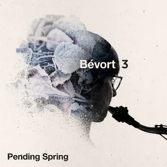 Pending Spring by Bévort 3