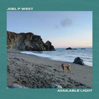 Available Light by Joel P West