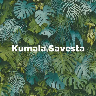 Kumala Savesta by Juice Smoke