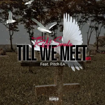 Till We Meet by TZN Souls