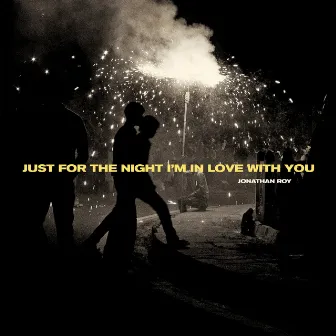 Just For The Night I'm In Love With You by Jonathan Roy