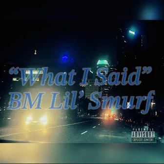 What I Said by BM Lil' Smurf