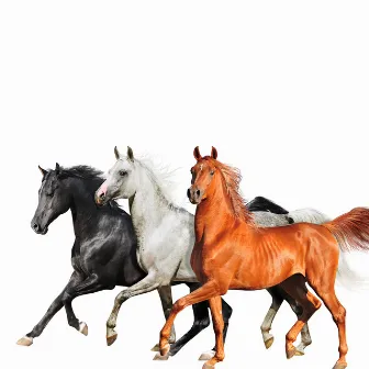 Old Town Road (Diplo Remix) by Lil Nas X