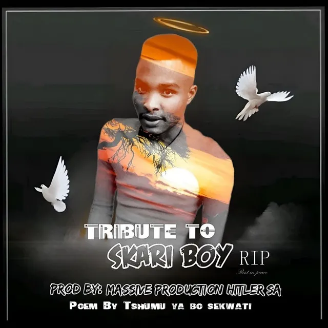 Tribute to Skari