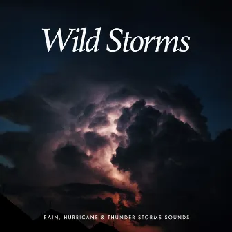 Wild Storms by Rain, Hurricane & Thunder Storms Sounds