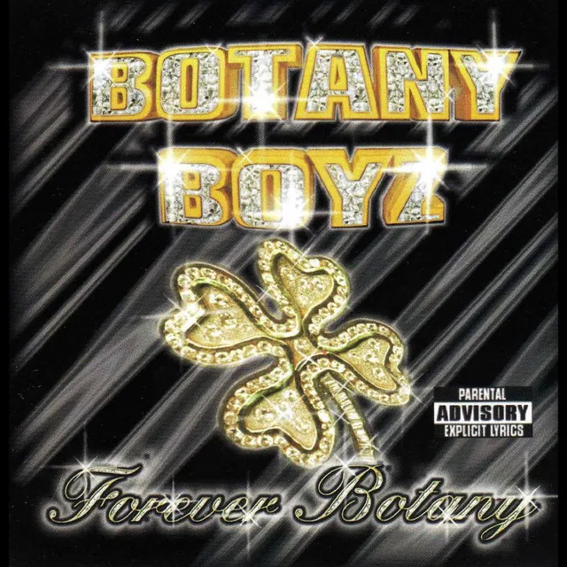 Botany St. Intro (feat. Blade King & DJ Screw)