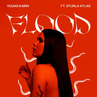 Flood (feat. Sturla Atlas) by Young Karin