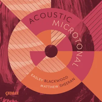 Acoustic Microtonal by Budapest Scoring Orchestra