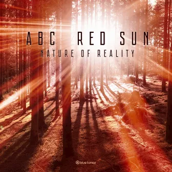 Nature of Reality by ABC