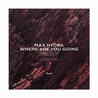 Where Are You Going by Max Hydra