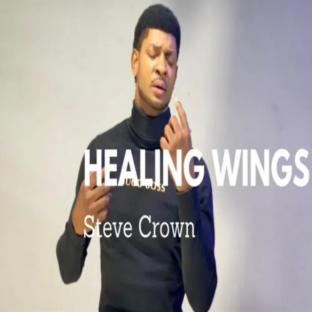 Healing Wings