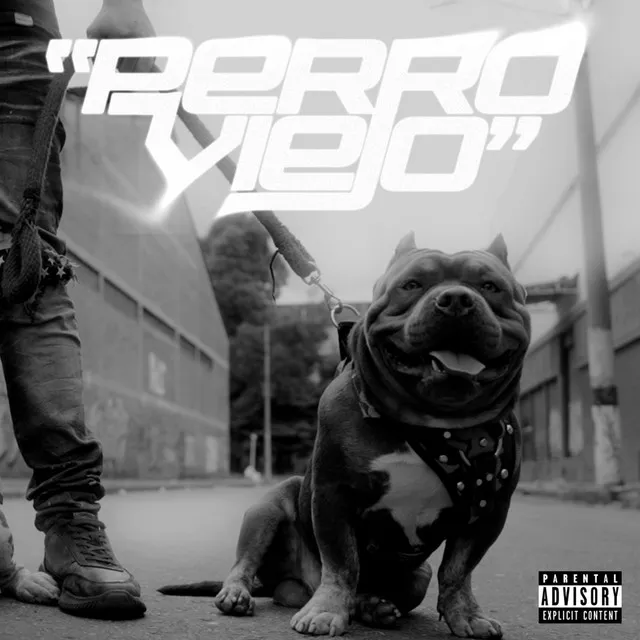 Perro Viejo