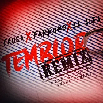 Temblor (Remix) by Causa