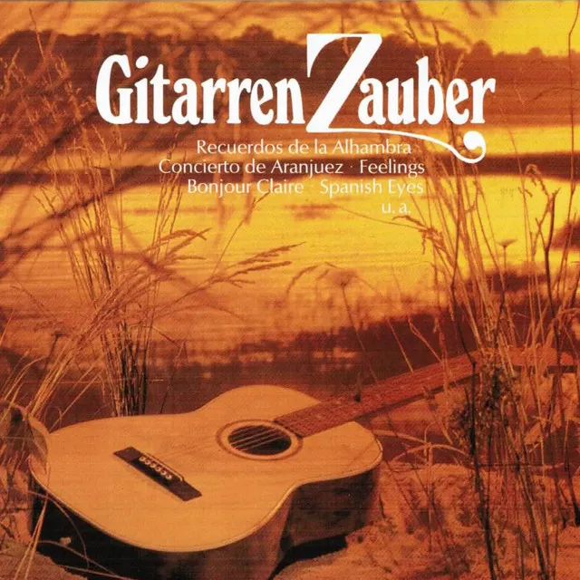 Gitarren Zauber