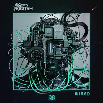 Wired by Bigitam