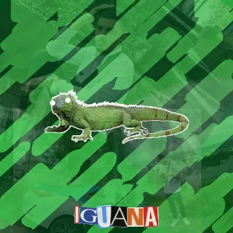 Iguana by Levour