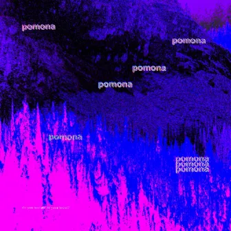 POMONA by TRAUMASQUAD