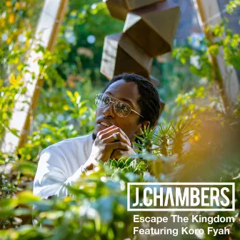 Escape The Kingdom by J.Chambers