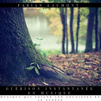 Guérison Instantanée en Musique (Musique Qui Soigne Les Angoisses Et Le Stress) by Fabian Laumont