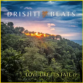 Love Like It's Fate by Drishti Beats