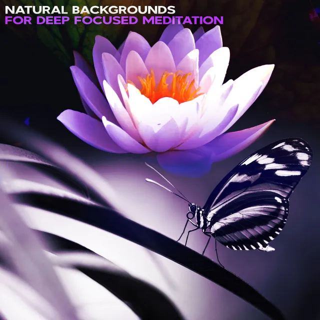 Natural Backgrounds for Deep Focused Meditation