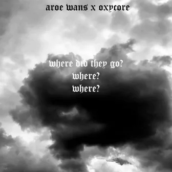 Where Did They Go? by Oxycore