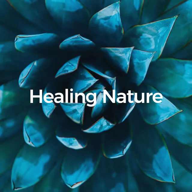 Healing Nature Sounds (528hz Natural Sounds)